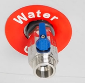 Ultimate Lite Replacement Valve