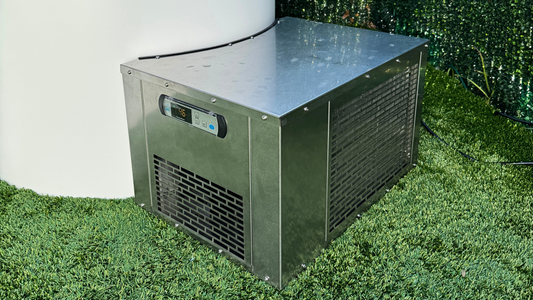 Cold Plunge Chillers vs Buying Ice - Making the Perfect Choice for Chilling Needs